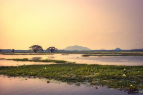 Water Bird's Resort & Yala Safari